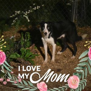 Meet your Posher, Mikki